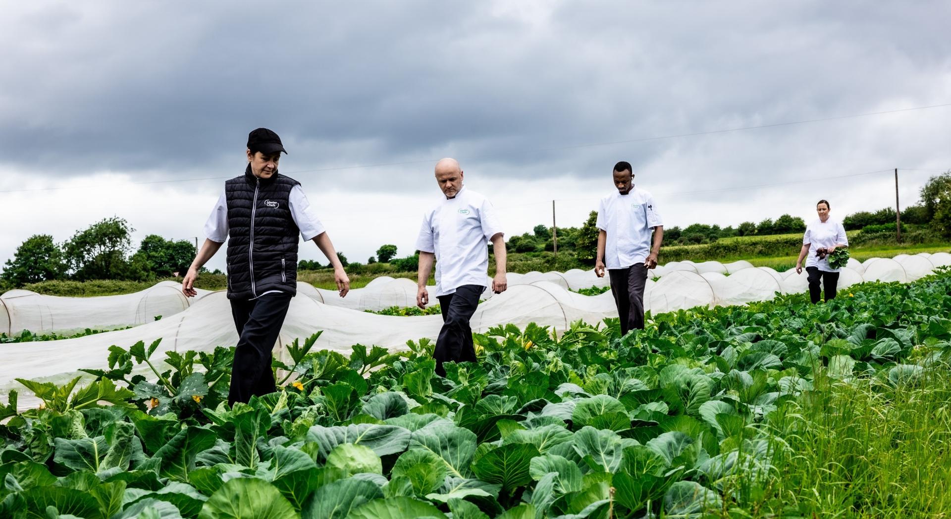 farmers and chefs in field