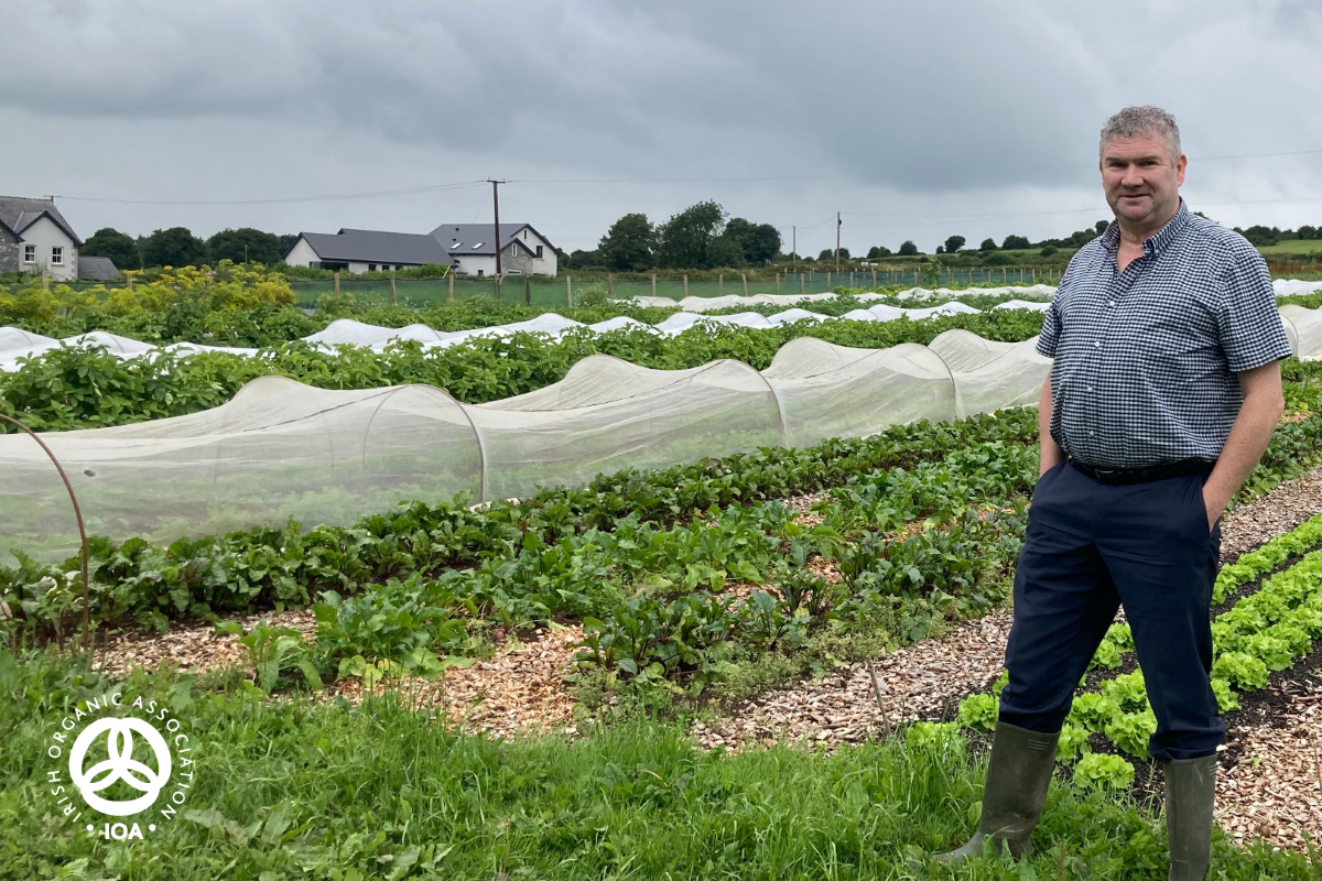Farmer in field of vegetables