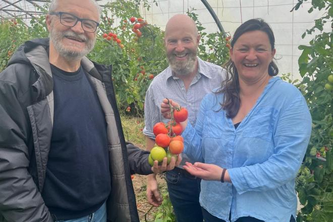 three people hold tomatoes in polytunnel
