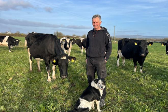 Farmer in field with dairy cows and dog