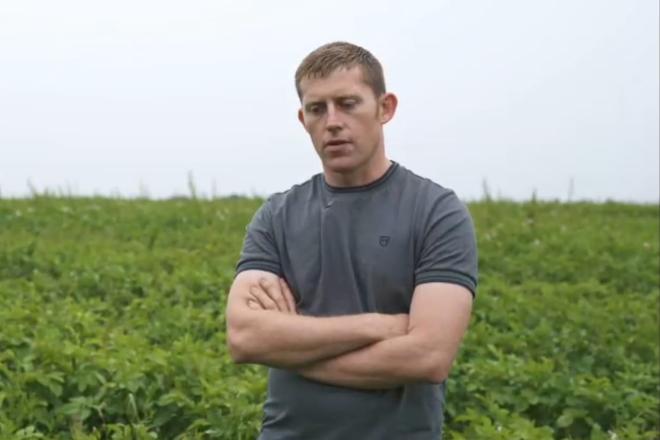 Farmer in potato field