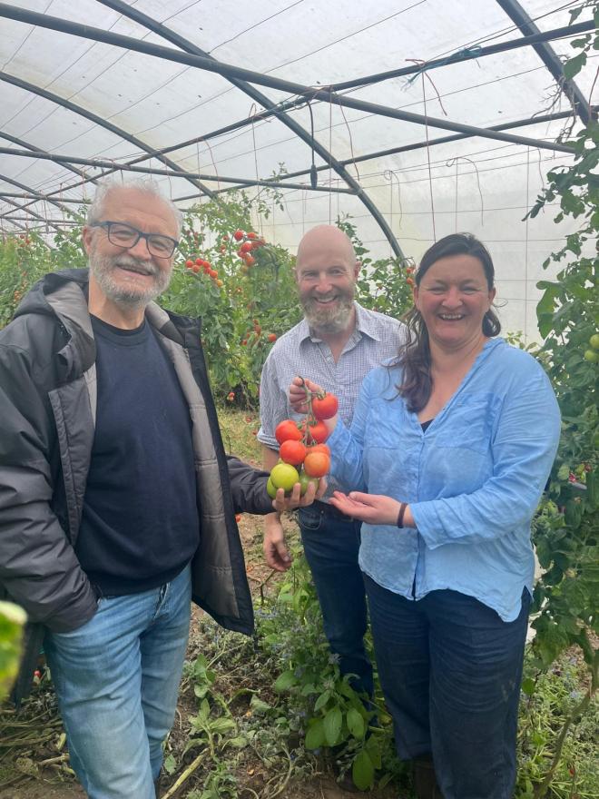 three people hold tomatoes in polytunnel